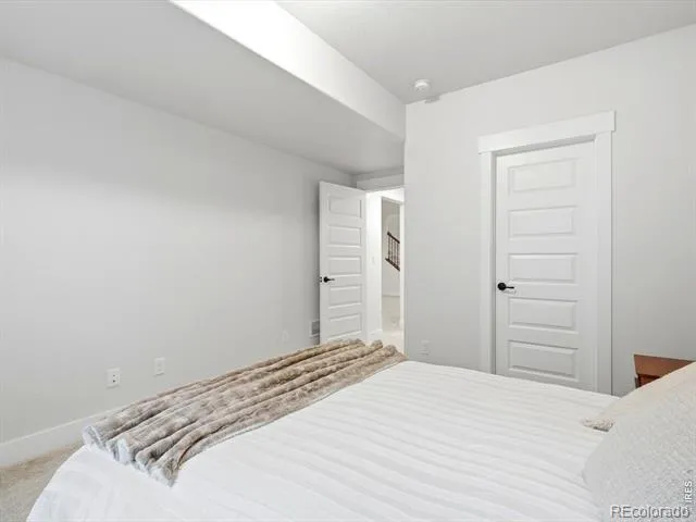 1746 Abundance Drive Windsor, CO 80550