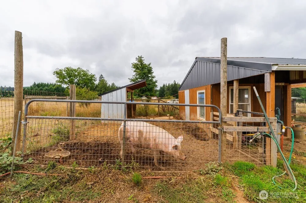 193 Schoolhouse Road Winlock, WA 98596