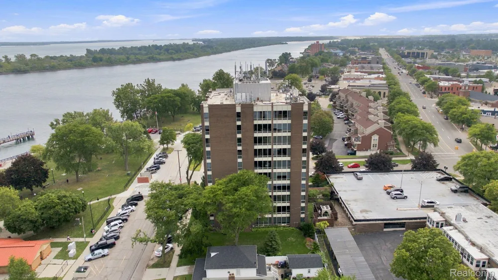 20 Chestnut Street #308 Wyandotte City, MI 48192