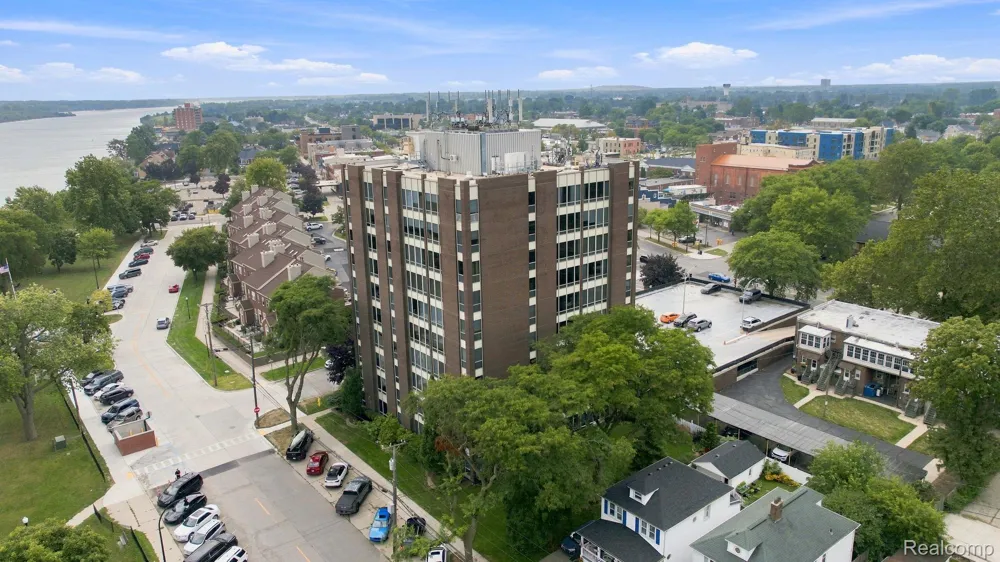 20 Chestnut Street #308 Wyandotte City, MI 48192
