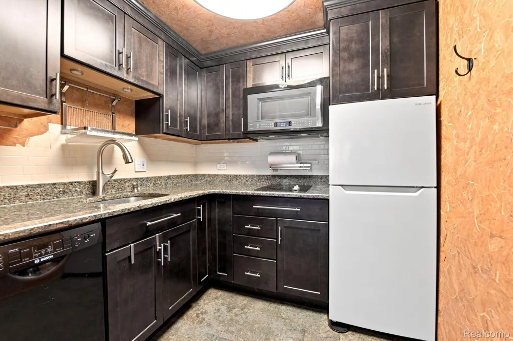 20 Chestnut Street #308 Wyandotte City, MI 48192