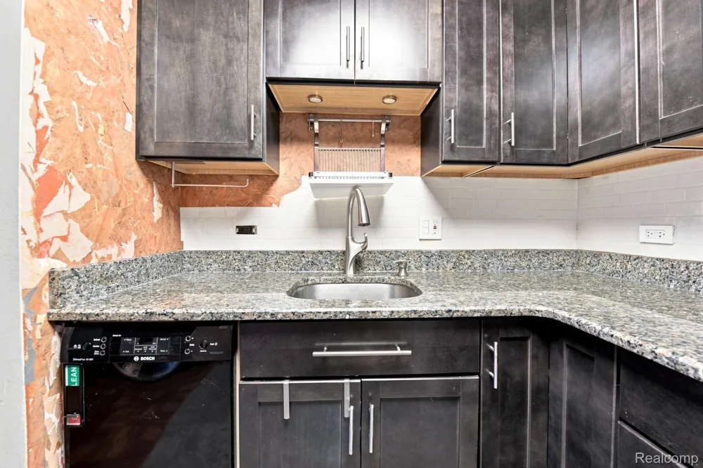 20 Chestnut Street #308 Wyandotte City, MI 48192