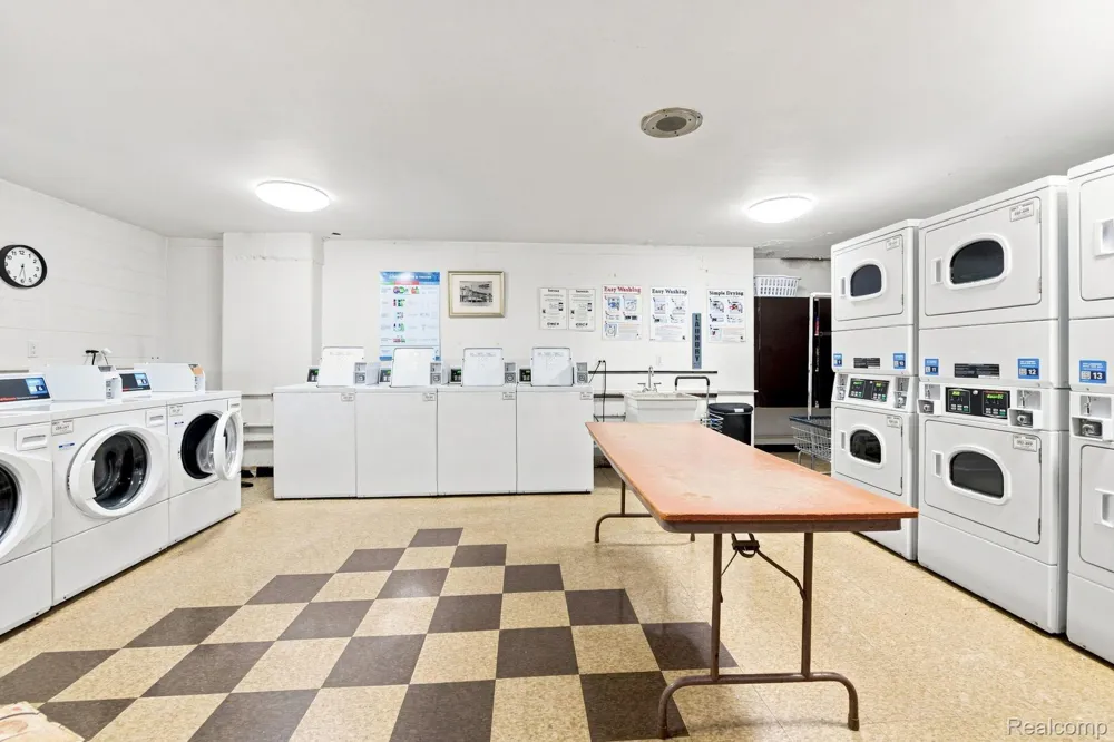 20 Chestnut Street #308 Wyandotte City, MI 48192