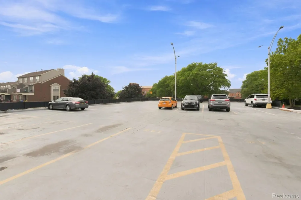20 Chestnut Street #308 Wyandotte City, MI 48192