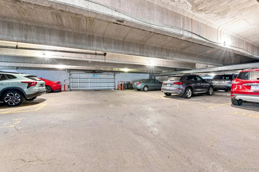 20 Chestnut Street #308 Wyandotte City, MI 48192