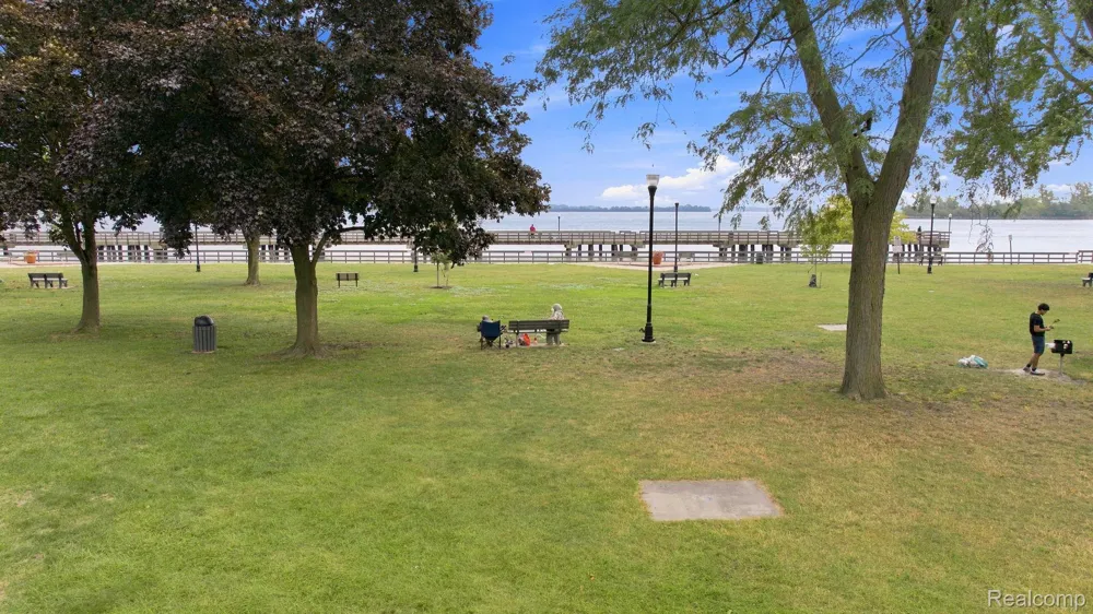 20 Chestnut Street #308 Wyandotte City, MI 48192