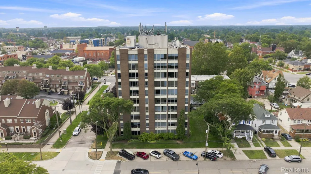 20 Chestnut Street #308 Wyandotte City, MI 48192