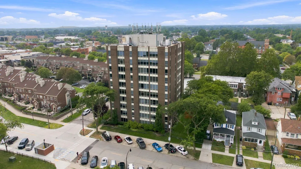 20 Chestnut Street #308 Wyandotte City, MI 48192