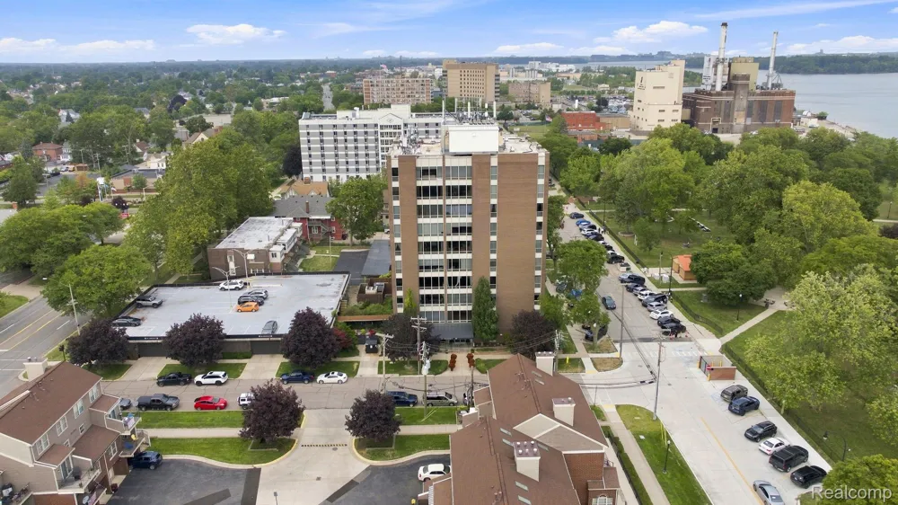 20 Chestnut Street #308 Wyandotte City, MI 48192