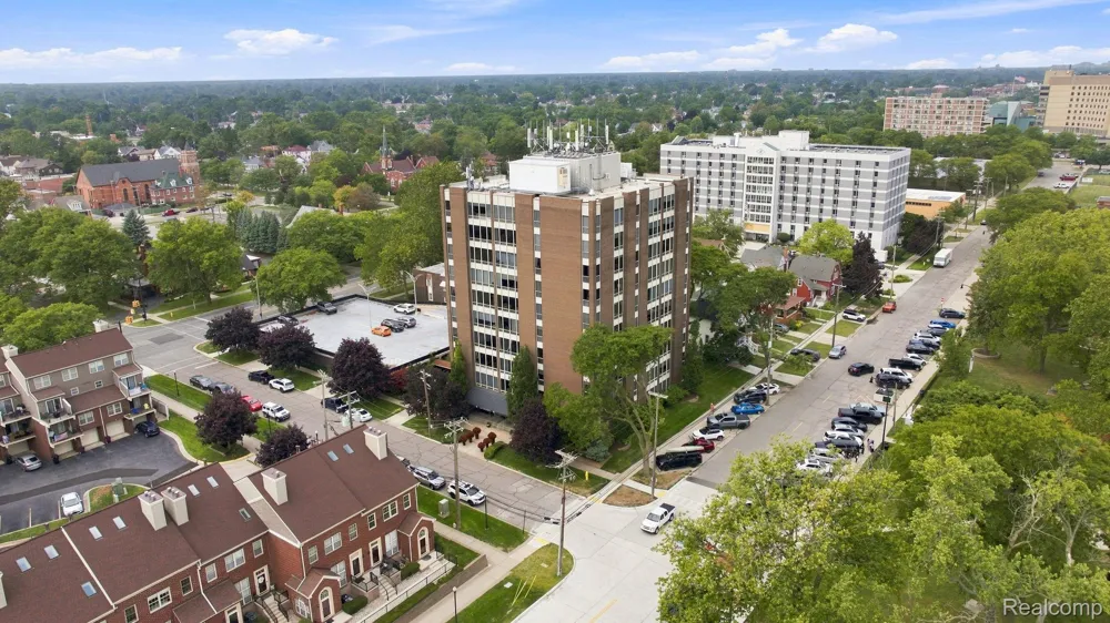 20 Chestnut Street #308 Wyandotte City, MI 48192