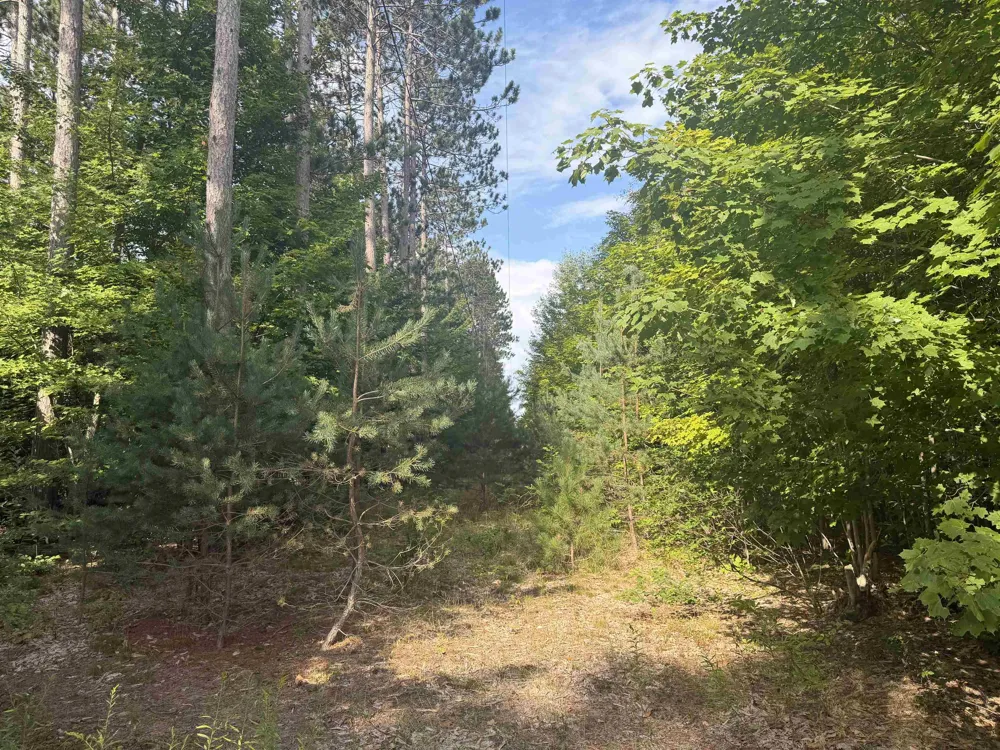 King Road Joyfield Township, MI 49616