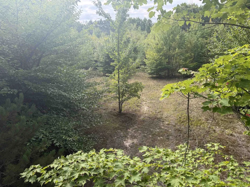 King Road Joyfield Township, MI 49616