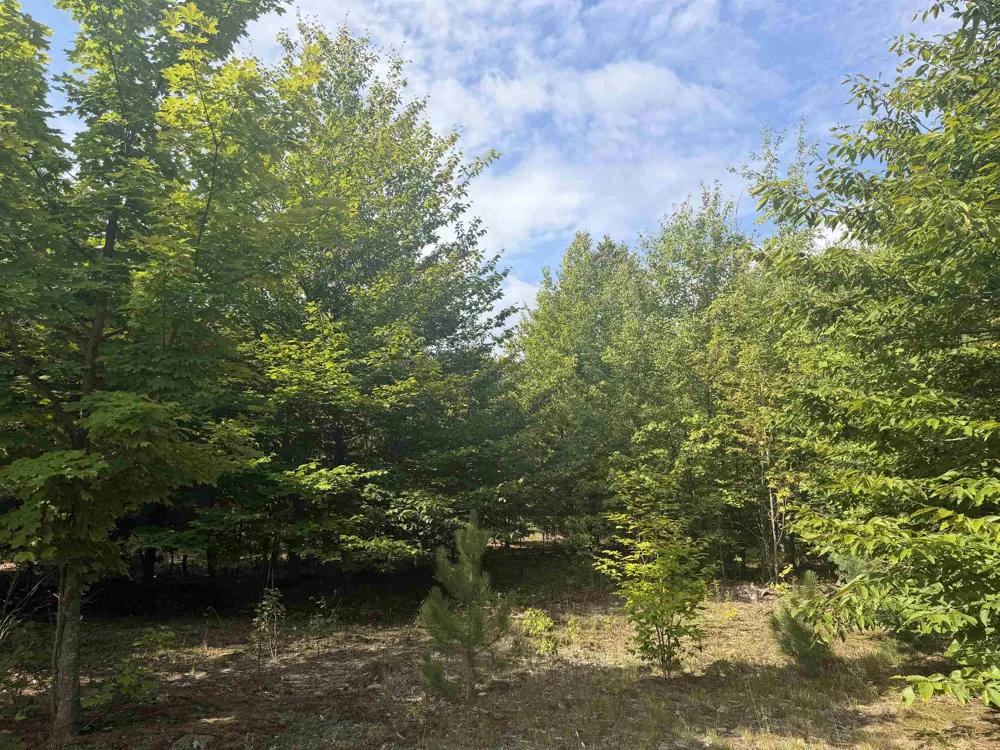 King Road Joyfield Township, MI 49616