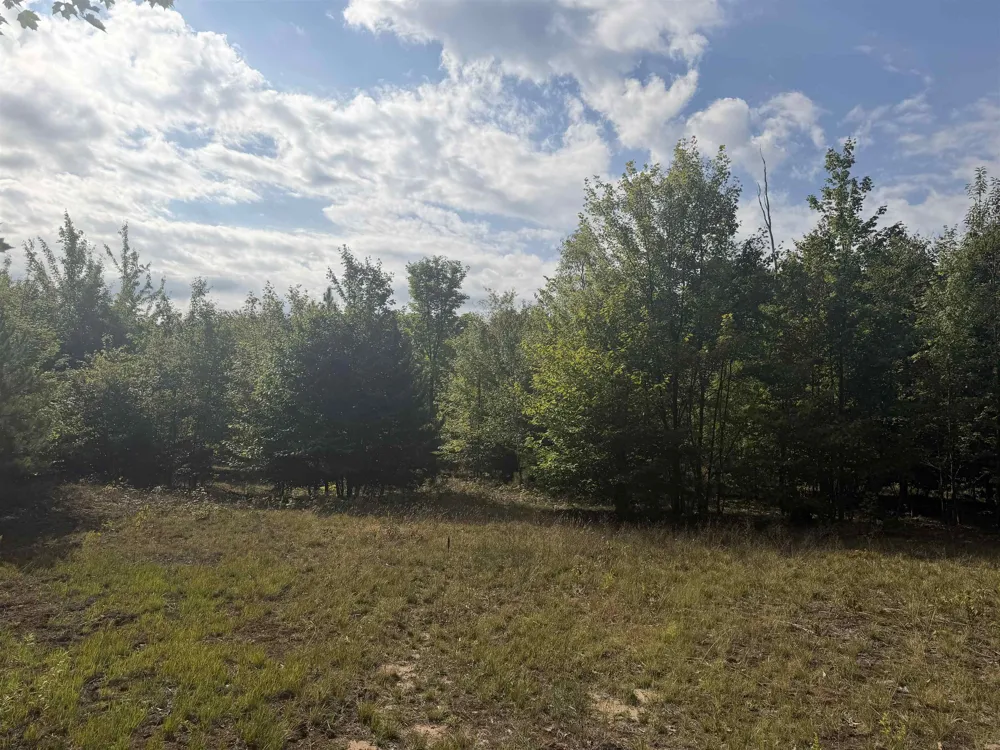 King Road Joyfield Township, MI 49616