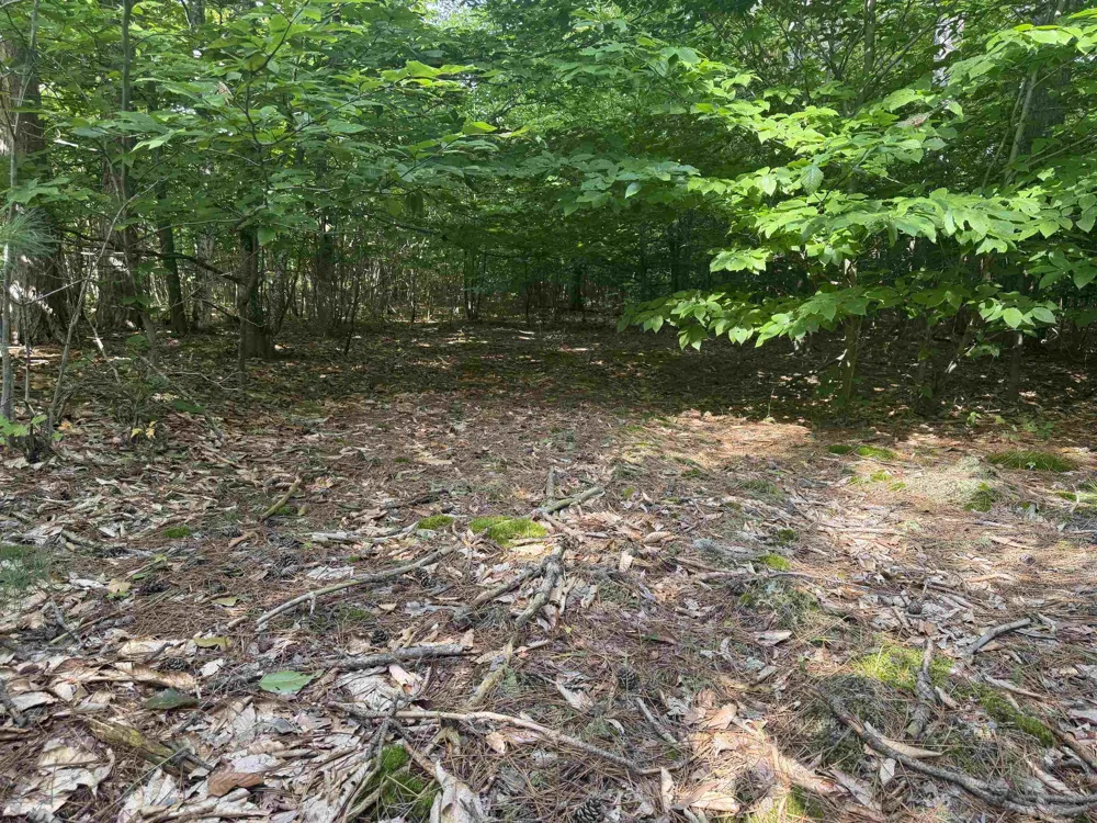 King Road Joyfield Township, MI 49616