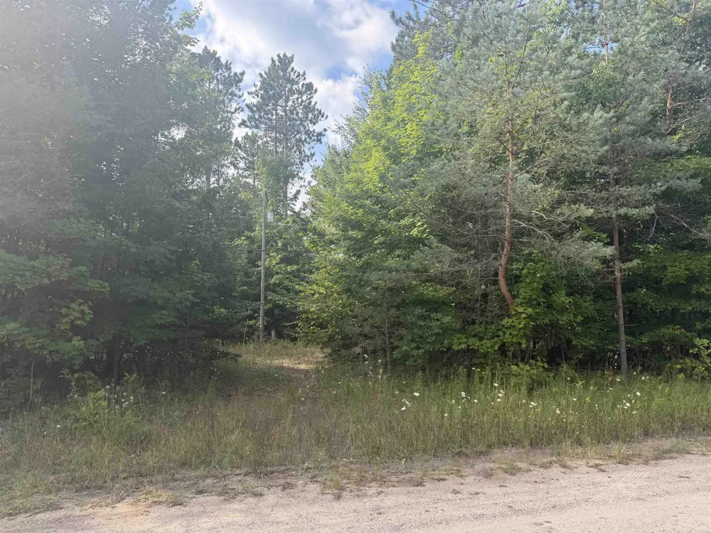 King Road Joyfield Township, MI 49616