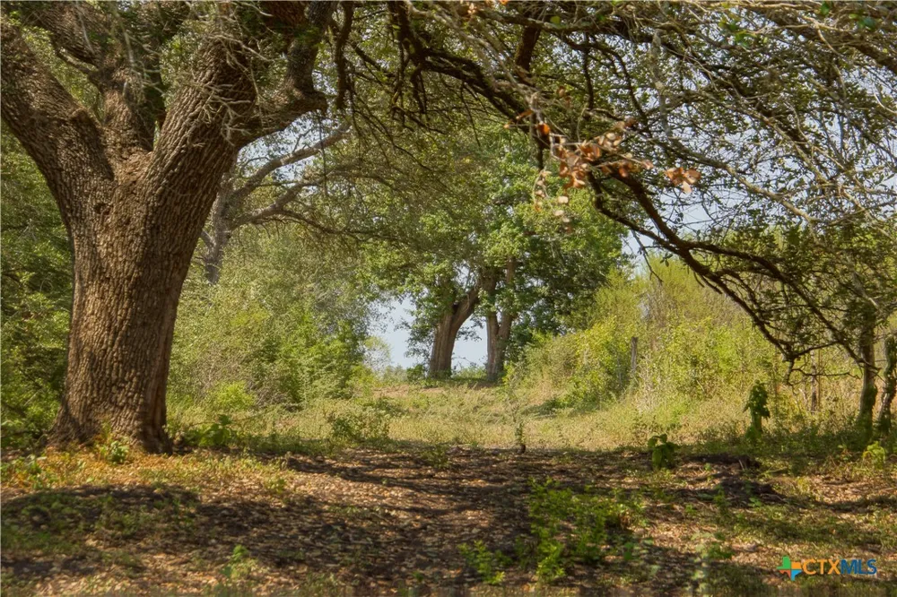 Doehrman Lane Meyersville, TX 77974