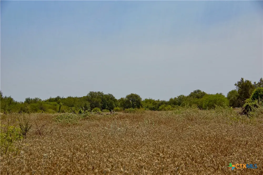 Doehrman Lane Meyersville, TX 77974