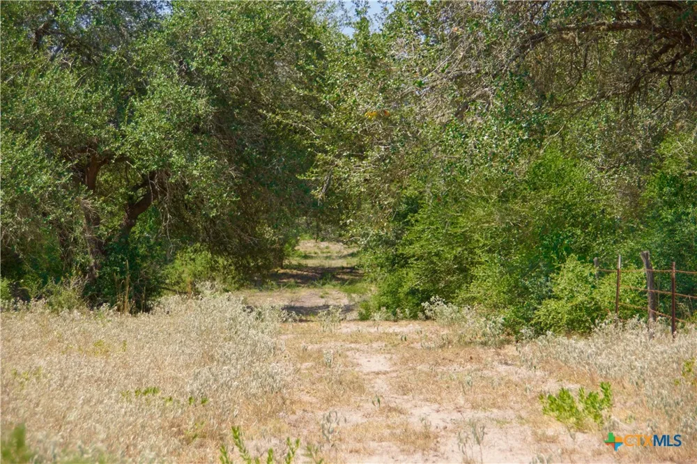 Doehrman Lane Meyersville, TX 77974