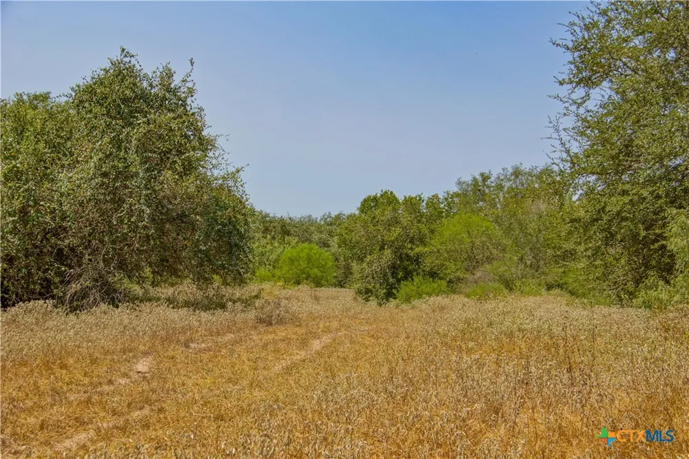 Doehrman Lane Meyersville, TX 77974