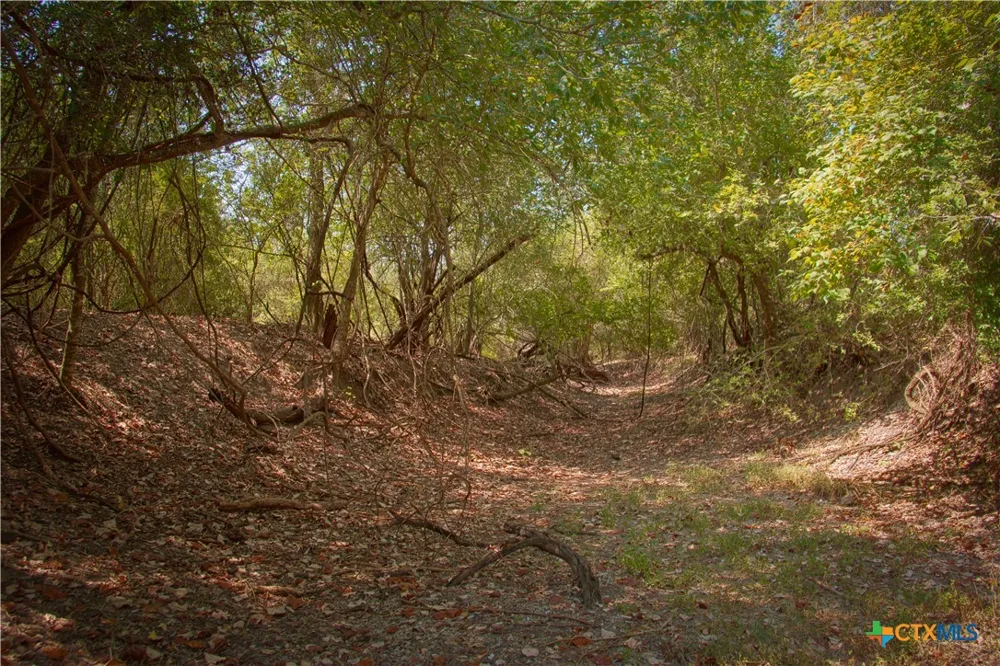 Doehrman Lane Meyersville, TX 77974
