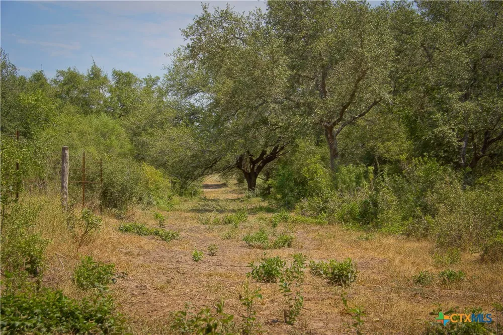 Doehrman Lane Meyersville, TX 77974
