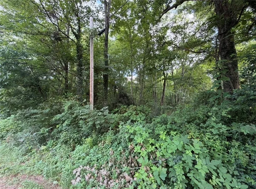0 Aberdeen Drive Lexington, NC 27292