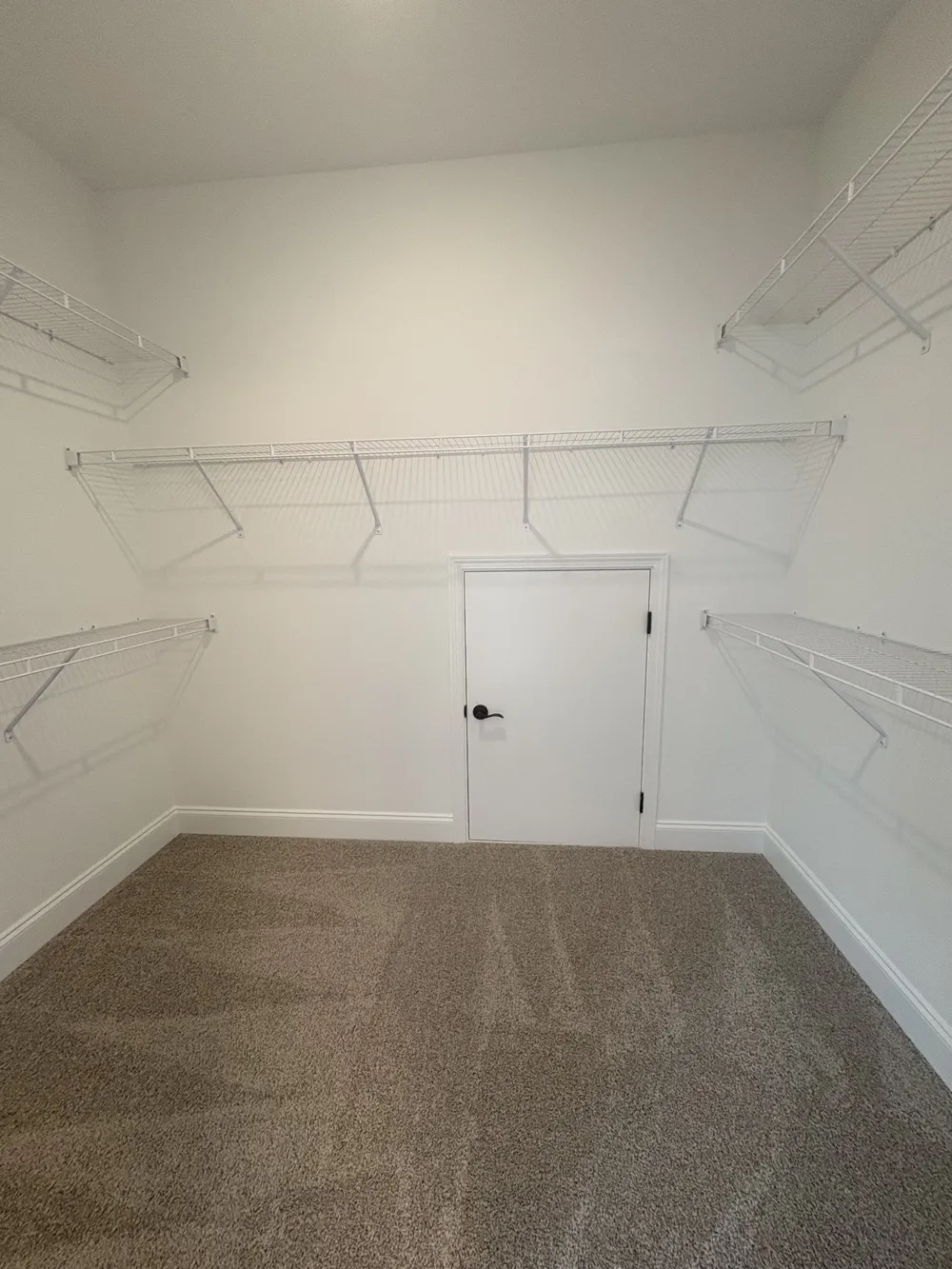 301 Caxton Aly Nolensville, TN 37135