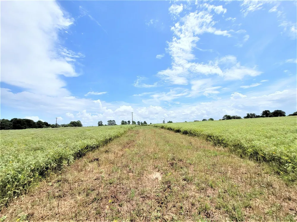 1450 Cattlemens Row #Tract 3 Lockhart, TX 78644