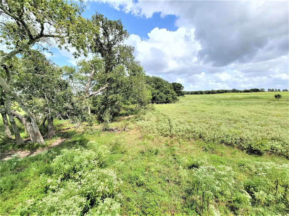 1450 Cattlemens Row #Tract 3 Lockhart, TX 78644