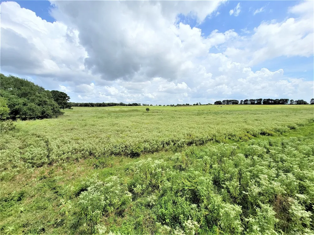 1450 Cattlemens Row #Tract 3 Lockhart, TX 78644