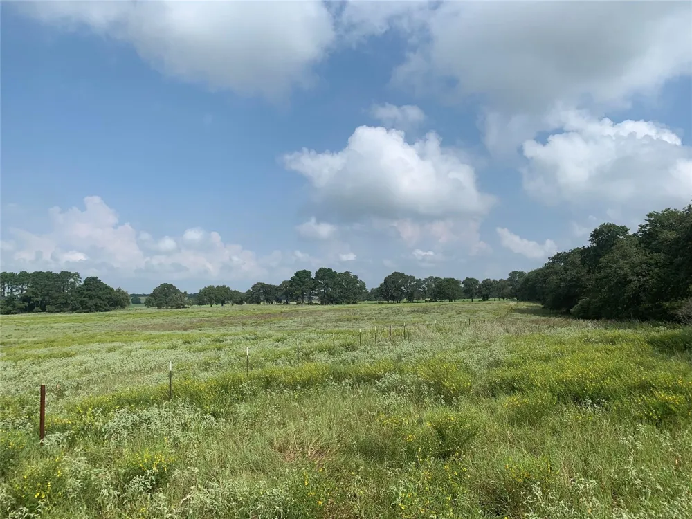 1450 Cattlemens Row #Tract 3 Lockhart, TX 78644