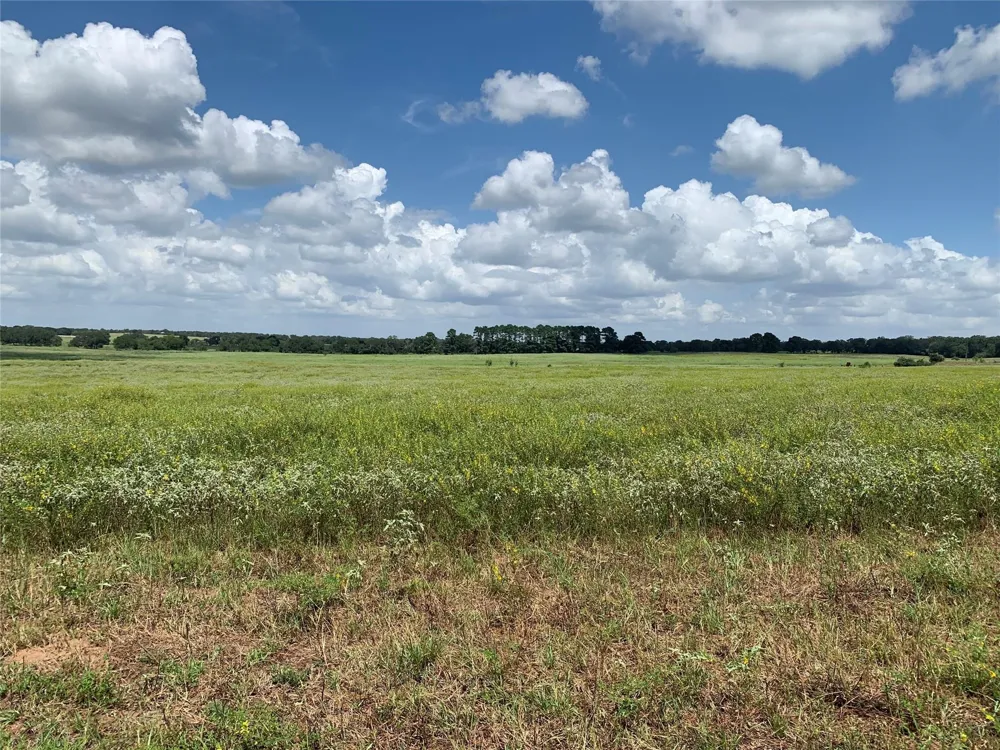 1450 Cattlemens Row #Tract 3 Lockhart, TX 78644