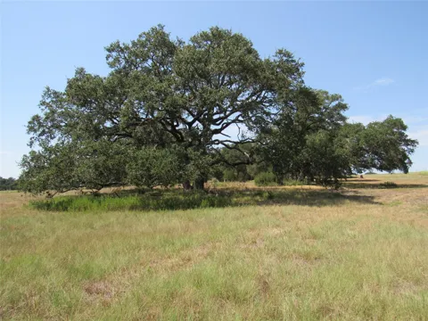 7863 Fm 332 Road