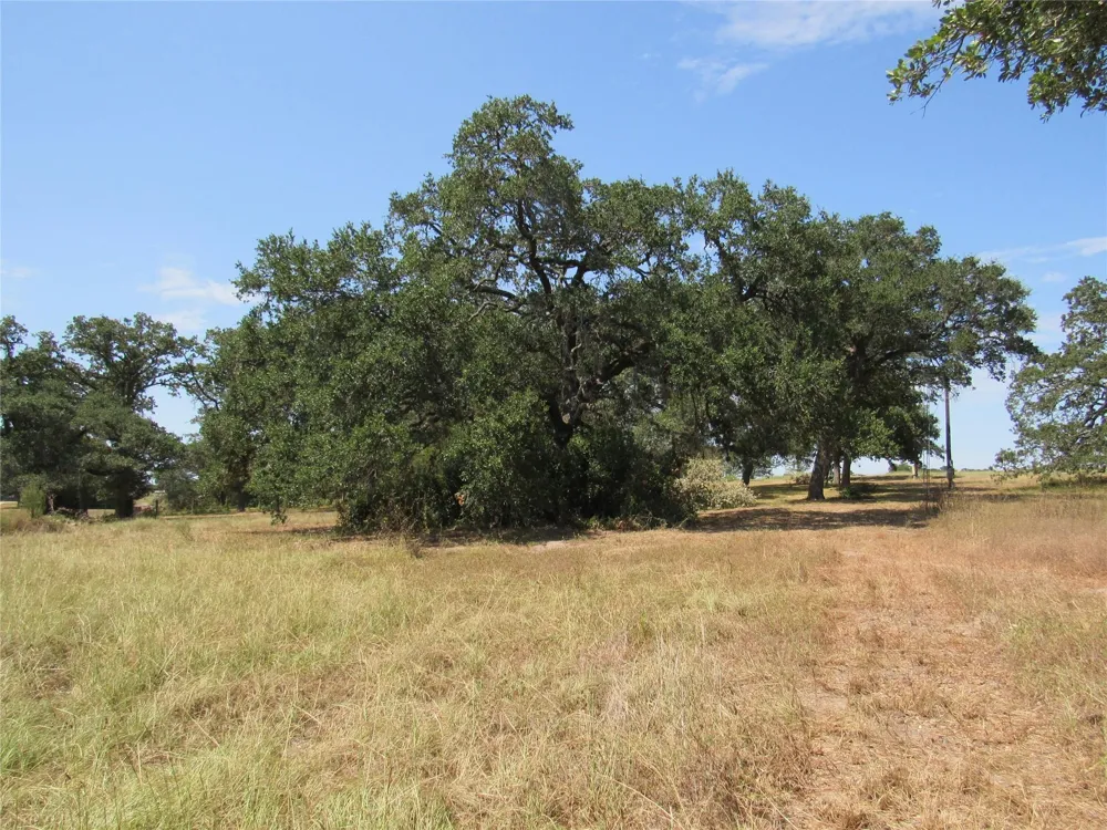 7863 Fm 332 Road Brenham, TX 77833