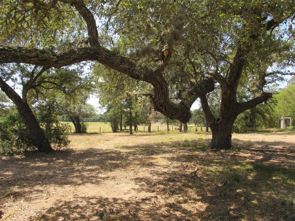 7863 Fm 332 Road Brenham, TX 77833