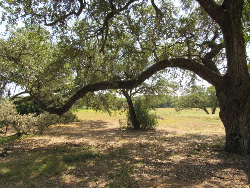 7863 Fm 332 Road Brenham, TX 77833