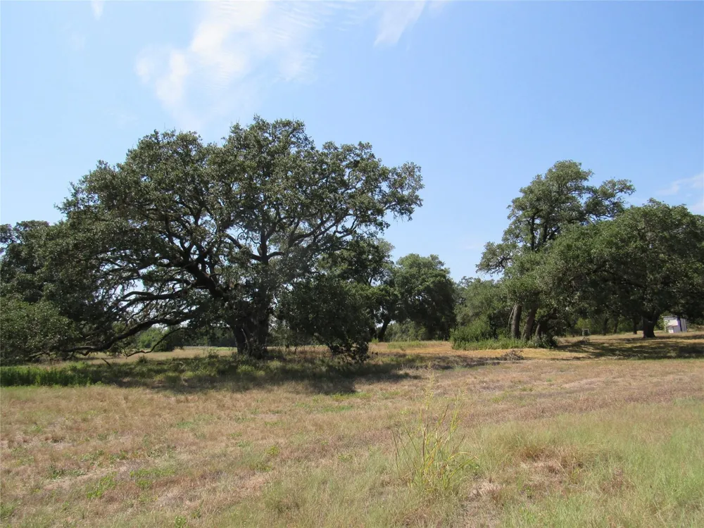 7863 Fm 332 Road Brenham, TX 77833