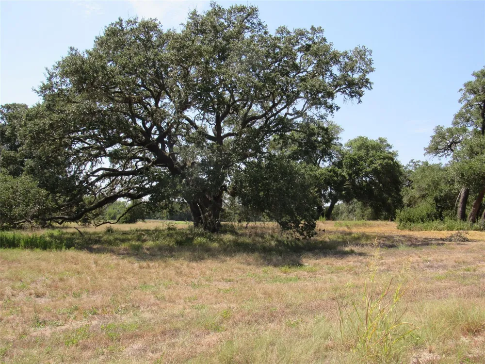 7863 Fm 332 Road Brenham, TX 77833