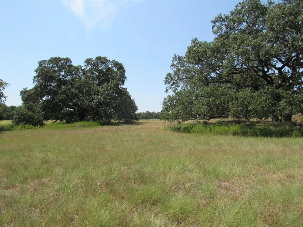 7863 Fm 332 Road Brenham, TX 77833