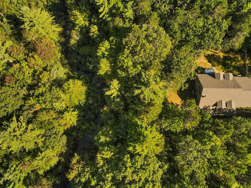 4207 Twins Trail Boardman Township, MI 49680
