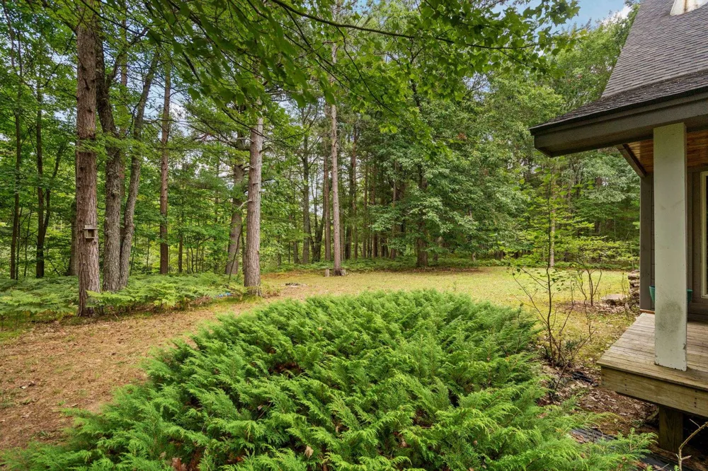 4207 Twins Trail Boardman Township, MI 49680