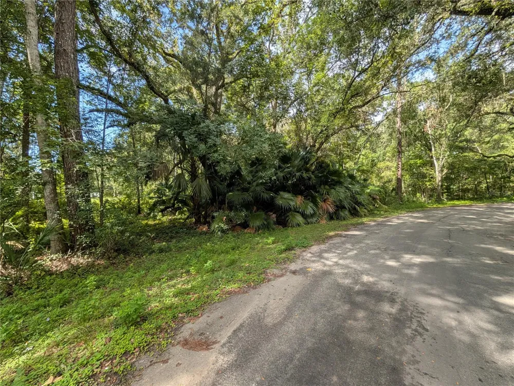 0 WILDWOOD DRIVE Brooksville, FL 34601