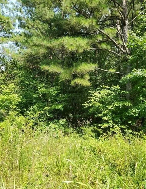 000 Dean Road Aragon, GA 30104