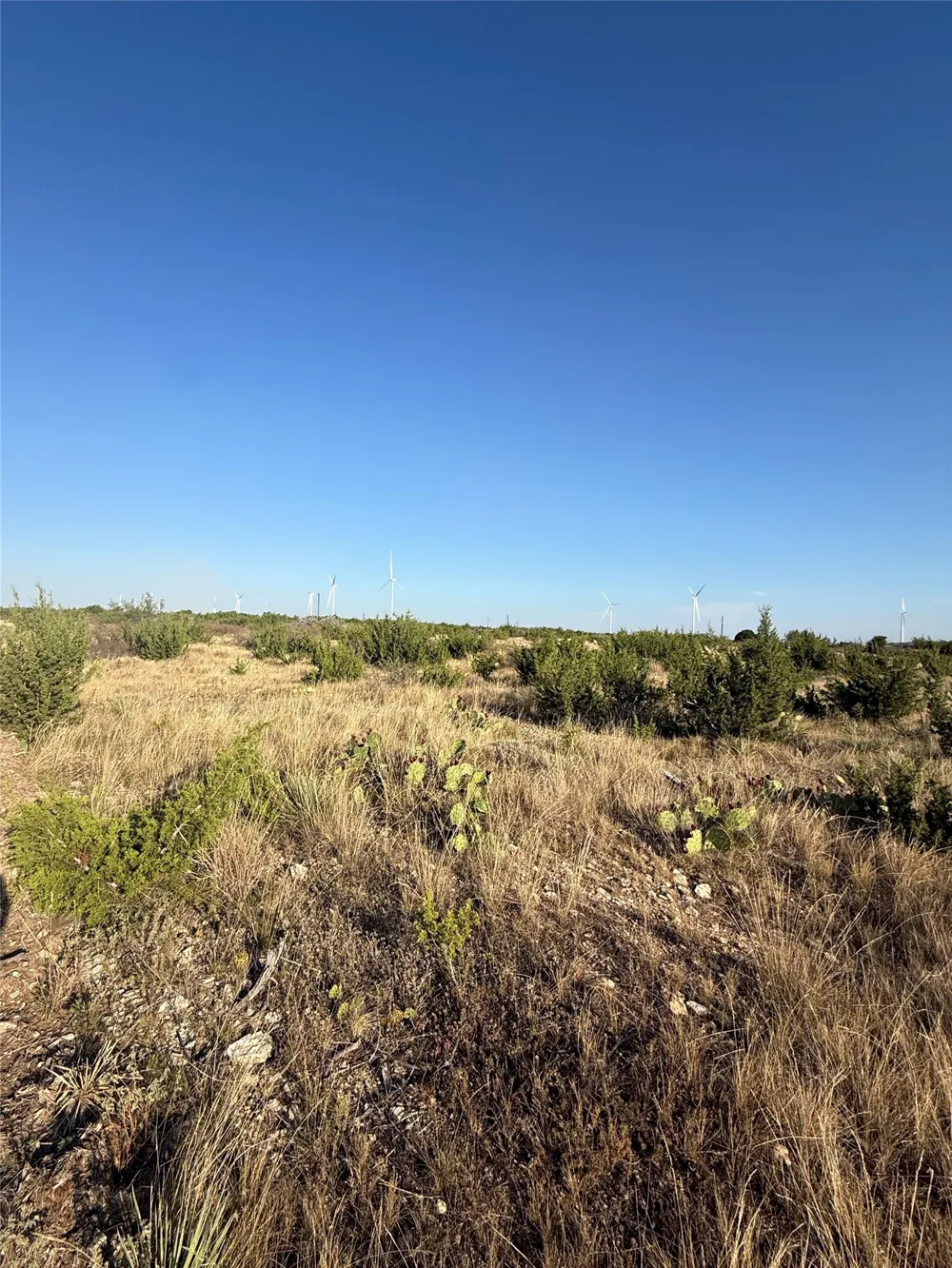 2033 CR 351 Merkel, TX 79536