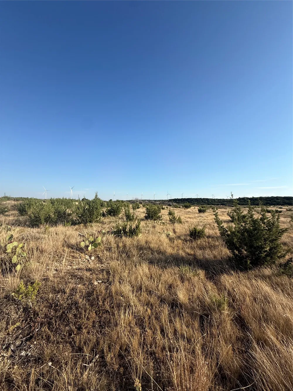 2033 CR 351 Merkel, TX 79536