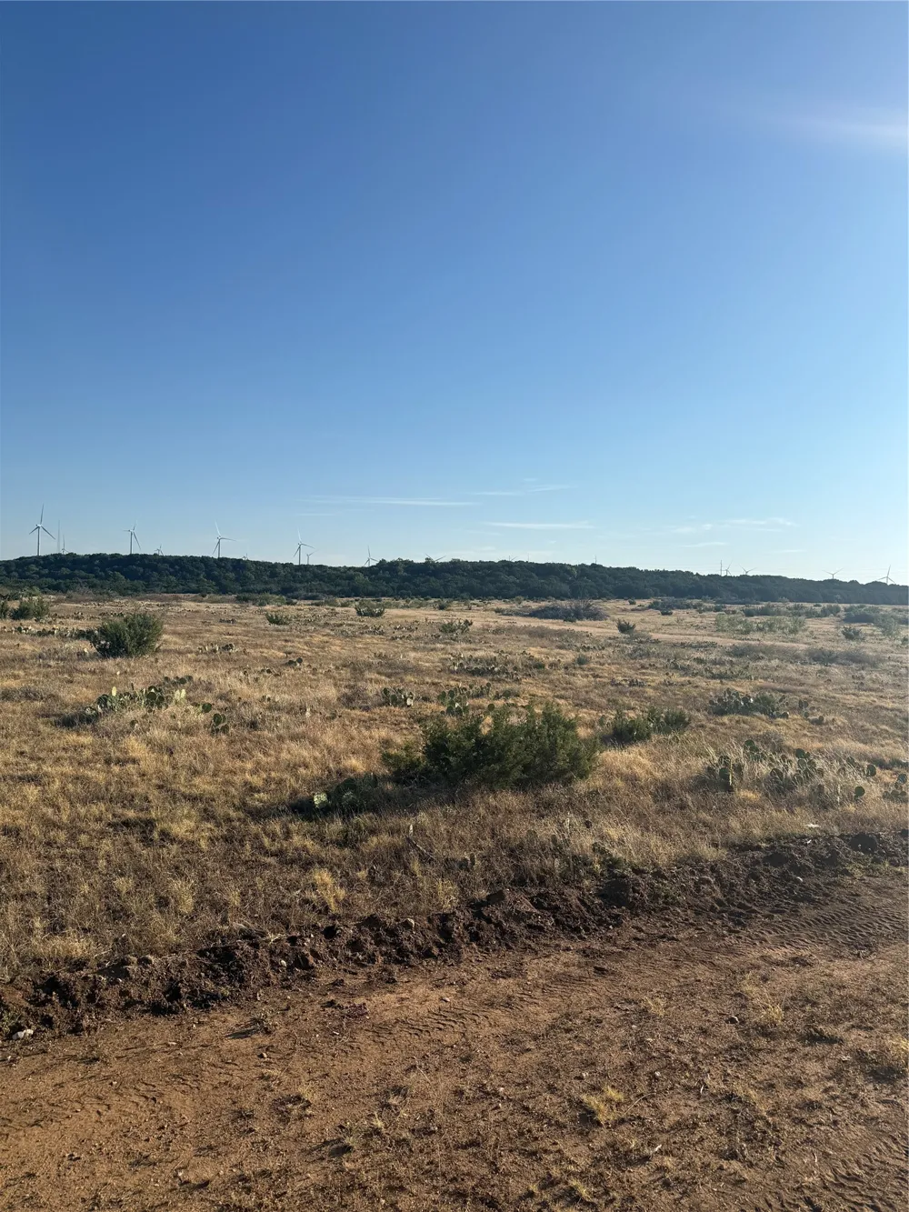 2033 CR 351 Merkel, TX 79536