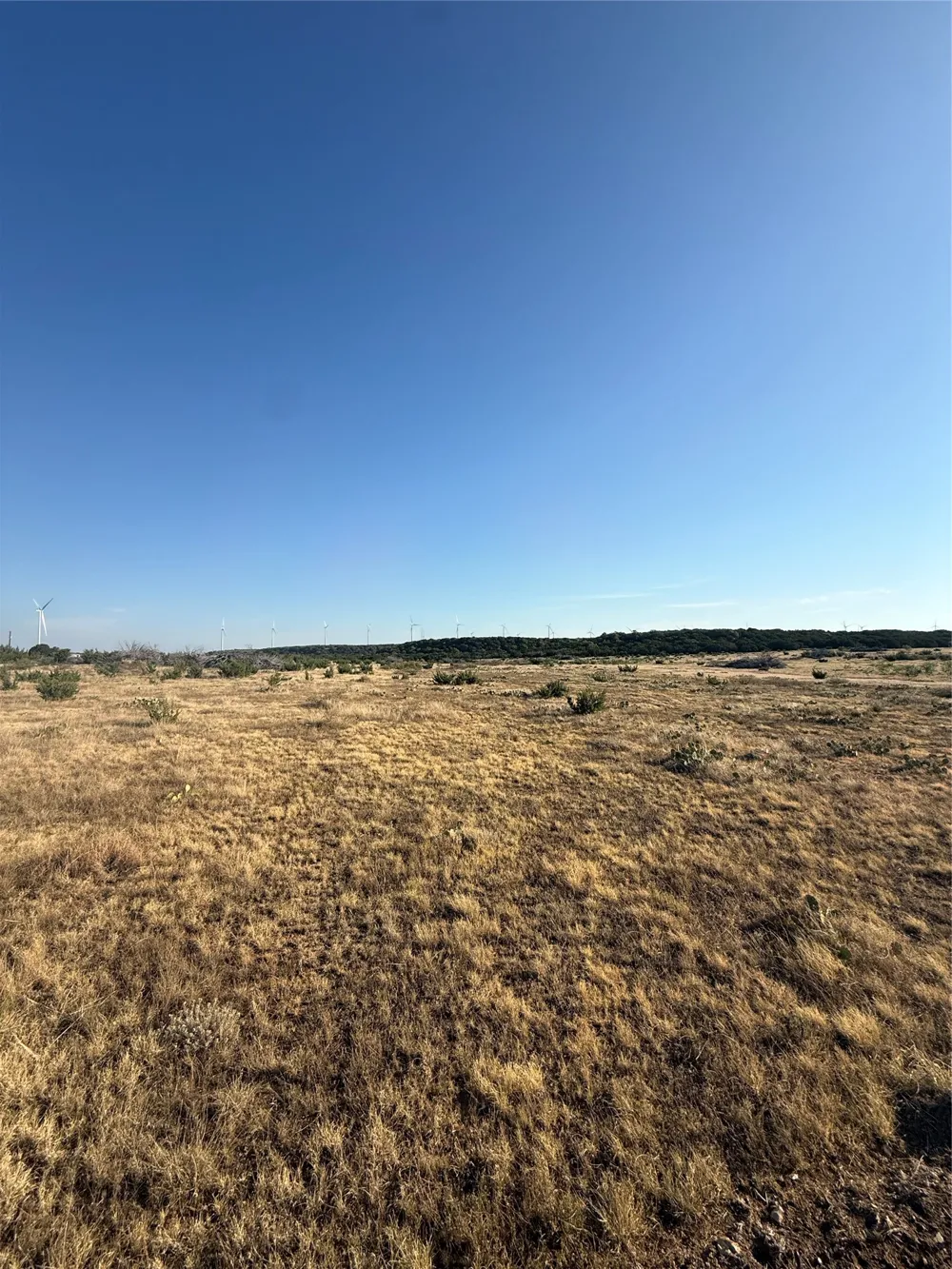 2033 CR 351 Merkel, TX 79536