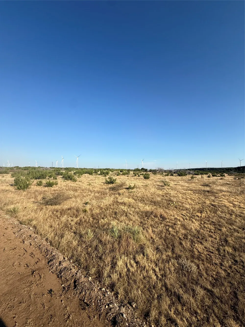2033 CR 351 Merkel, TX 79536