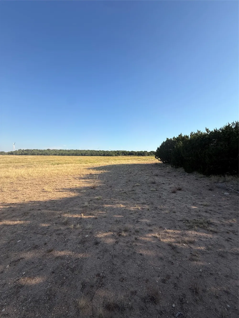 2033 CR 351 Merkel, TX 79536